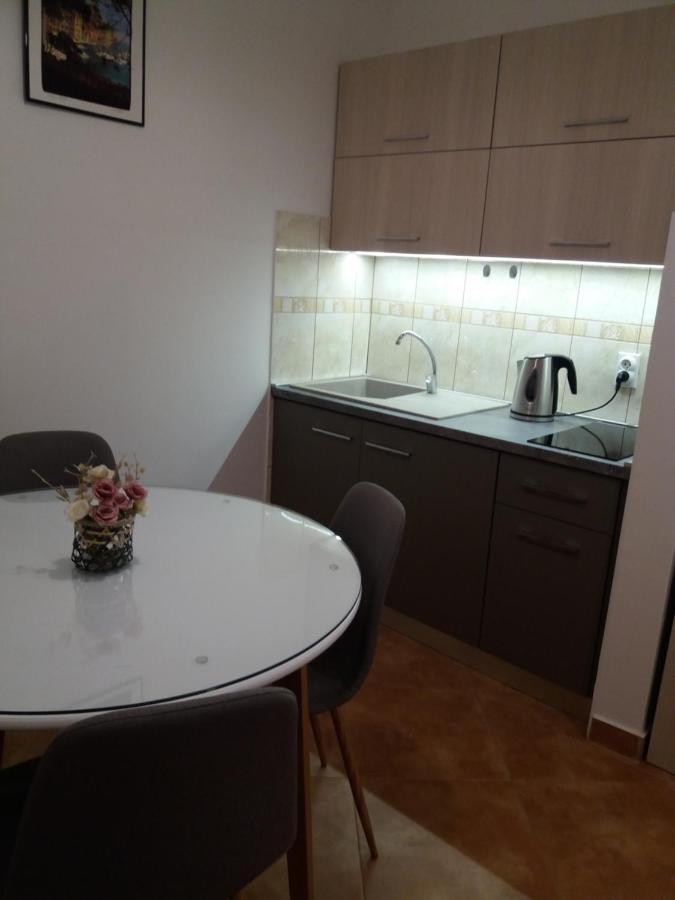 Apartment Anja 赫尔采格诺维 外观 照片